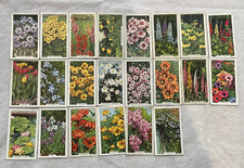 Gallaher garden flowers for sale  YORK