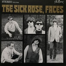 sick rose usato  Milano