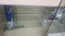 Shop counter display for sale  SHEFFIELD