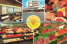 D247588 aalsmeer trading for sale  WARLINGHAM