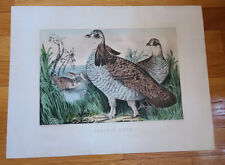 Currier ives lithograph for sale  Framingham