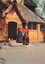 Norway telemark heddalsbunad d'occasion  France