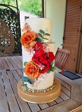 Torta scenografica finta usato  Muro Lucano