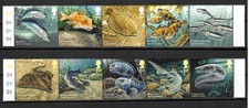 Fische dogfish woffish gebraucht kaufen  Köngen