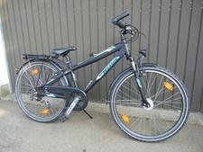 Preis zoll pegasus gebraucht kaufen  Gerstetten