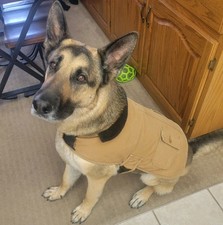 Carhartt dog chore for sale  Denver