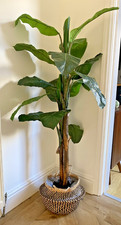 Modern artifical plant for sale  STOKE-ON-TRENT