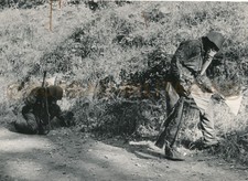 A416 foto nva gebraucht kaufen  Wolfen