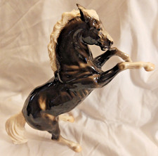 horse stallion for sale  Maggie Valley