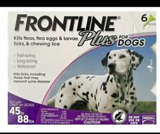 Front plus dogs for sale  Floral Park