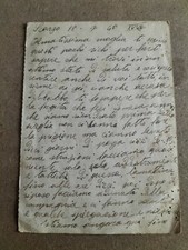 Scorzo sicignano degli usato  Matera