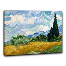 Niik quadro campo usato  Erba