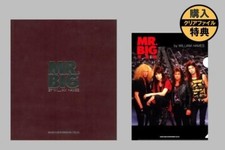 Mr.big photo book d'occasion  Expédié en Belgium
