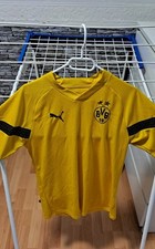 Bvb borussia dortmund gebraucht kaufen  Oberhausen