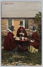 C1908 postcard welsh for sale  MANCHESTER