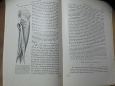 Gegenbaur. traité anatomie d'occasion  Valence
