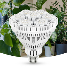 36w lampadina led usato  Spedire a Italy