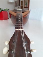 Mandolino vinaccia del usato  Casapesenna