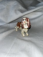 cavalier king charles spaniel for sale cavalier king charles spaniel for sale Erie