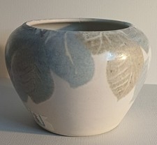 Conwy pottery plant for sale  NEWTOWNABBEY