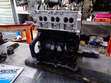 Motore ford focus usato  Carpinone