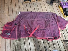 Horse tack shires for sale  Spokane
