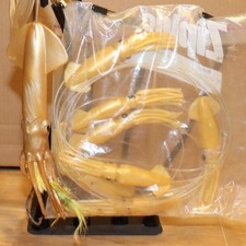 Lot big squid for sale  West Palm Beach