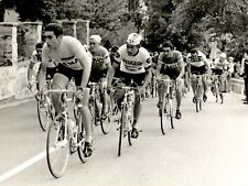 Originale eddy merckx usato  Milano