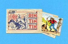 Rin tin tin usato  Maranello