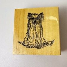 Yorkshire terrier purebred for sale  Forest