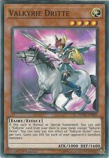 Shva en001 valkyrie for sale  WIRRAL