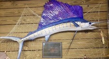 Atlantic sailfish two for sale  Saint Marys