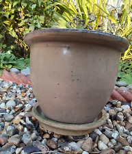 Glazed ceramic plant for sale  RUISLIP
