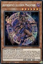 Apprentice illusion magician gebraucht kaufen  Landstuhl
