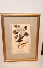 J.j. audubon canada for sale  Madison Heights
