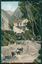 Salerno amalfi capre usato  Gambolo