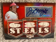 Joe morgan 2010 for sale  Mason