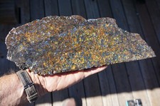 Huge 1574 gram for sale  Flagstaff