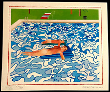 David hockney california usato  Roma