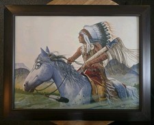 Framed print seminole for sale  Stroud