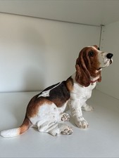 Large basset hound for sale  BIRMINGHAM