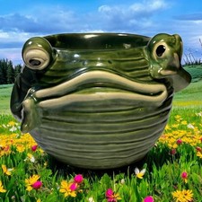 Whimsical frog planter for sale  West Plains