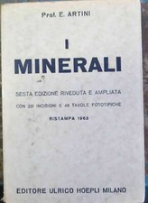 Libro artini ettore usato  Milano