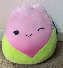 Squishmallows plush bridgie for sale  Chaska