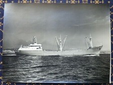 Cargo marie louise d'occasion  France