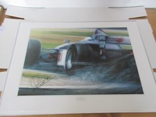 Mika häkkinen kunstdruck gebraucht kaufen  Mayen