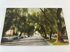 Pasadena california marengo for sale  College Grove