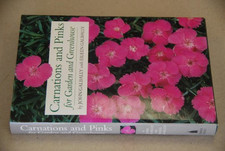 Carnations pinks garden for sale  UK