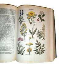 Altes kräuterbuch große gebraucht kaufen  Hamburg