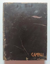 Raffaele grada campigli usato  Roma